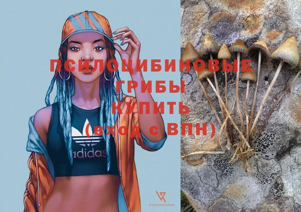 дмт Белоозёрский