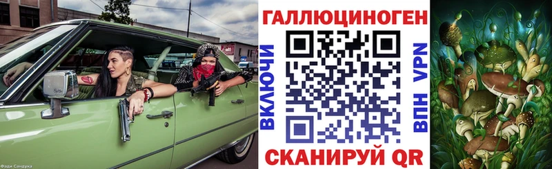 Купить  Гатчина  Псилоцибиновые грибы Psilocybine cubensis 