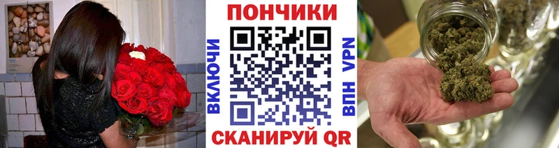 Конопля планчик  Купить  Гатчина 